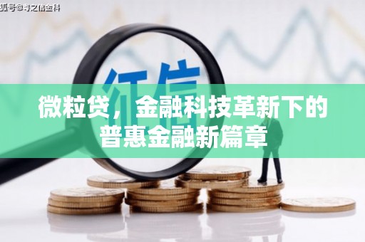 下营微粒贷，金融科技革新下的普惠金融新篇章