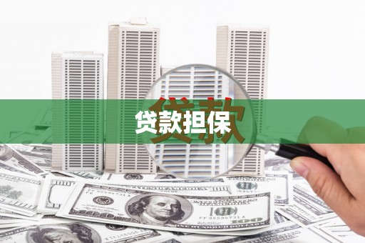 官田贷款担保