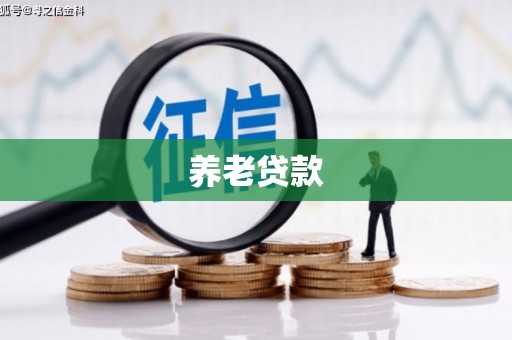 中卫养老贷款
