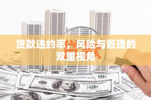 乌丘贷款违约率，风险与管理的双重视角