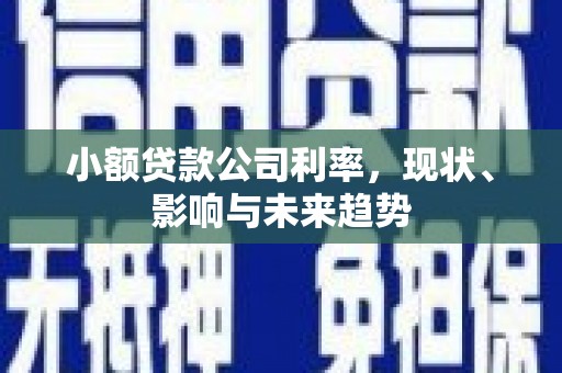广东小额贷款公司利率，现状、影响与未来趋势