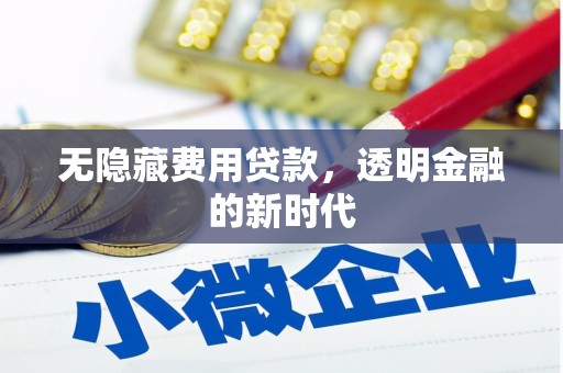 小店无隐藏费用贷款，透明金融的新时代