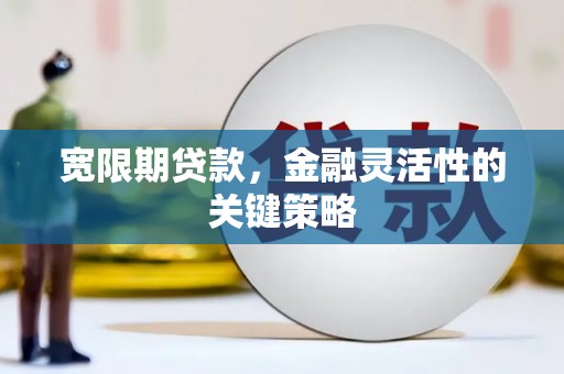 云霄宽限期贷款，金融灵活性的关键策略