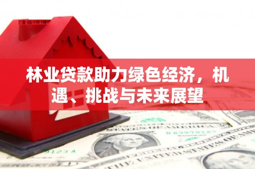永州林业贷款助力绿色经济，机遇、挑战与未来展望