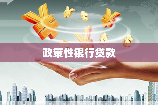 王益政策性银行贷款