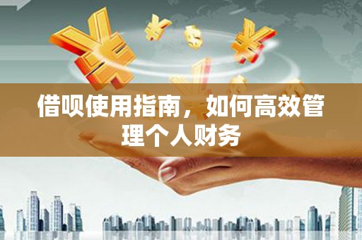 鸡冠借呗使用指南，如何高效管理个人财务