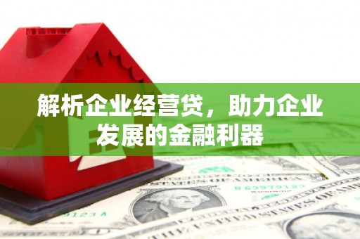 天宁解析企业经营贷，助力企业发展的金融利器