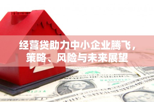 雾峰经营贷助力中小企业腾飞，策略、风险与未来展望