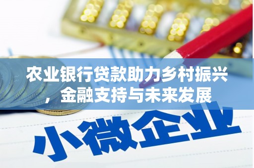 定远农业银行贷款助力乡村振兴，金融支持与未来发展