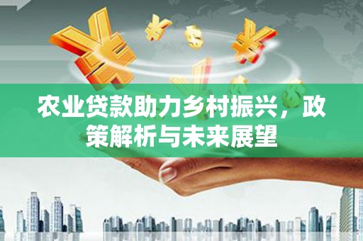 濮阳农业贷款助力乡村振兴，政策解析与未来展望