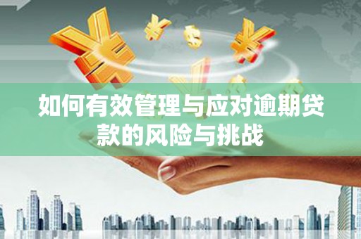 新田如何有效管理与应对逾期贷款的风险与挑战