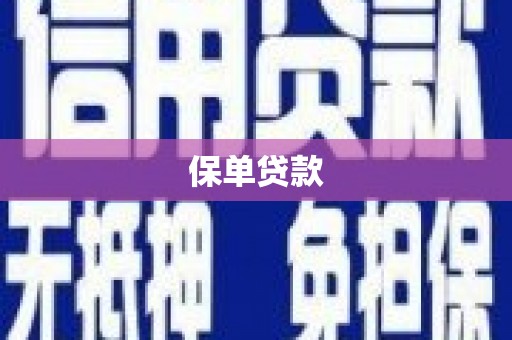 陆川保单贷款