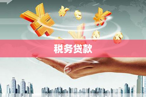 淮上税务贷款