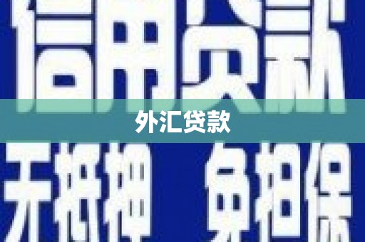 江华外汇贷款
