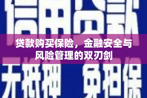 陆川贷款购买保险，金融安全与风险管理的双刃剑