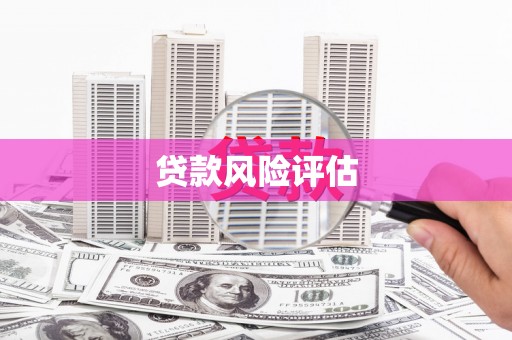 新沂贷款风险评估