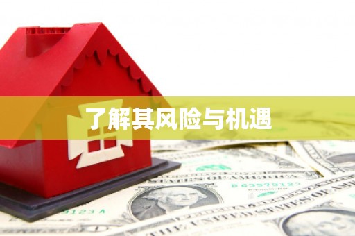 平南了解其风险与机遇
