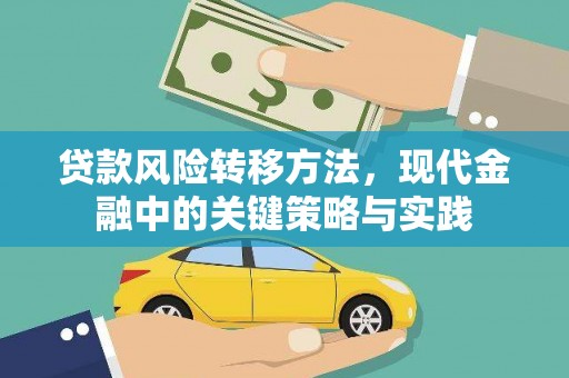 莱城贷款风险转移方法，现代金融中的关键策略与实践