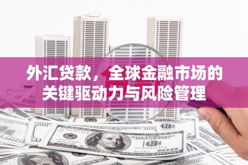 水上外汇贷款，全球金融市场的关键驱动力与风险管理