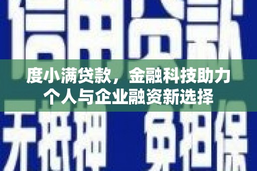 芦淞度小满贷款，金融科技助力个人与企业融资新选择