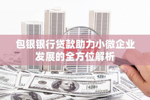 汇川包银银行贷款助力小微企业发展的全方位解析