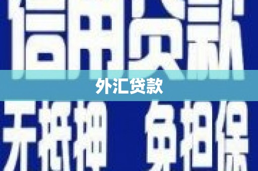 梨树外汇贷款