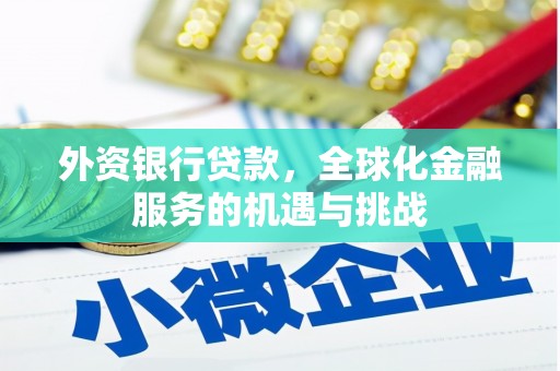 滦平外资银行贷款，全球化金融服务的机遇与挑战