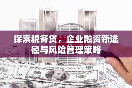 延庆探索税务贷，企业融资新途径与风险管理策略