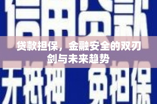 丰原贷款担保，金融安全的双刃剑与未来趋势
