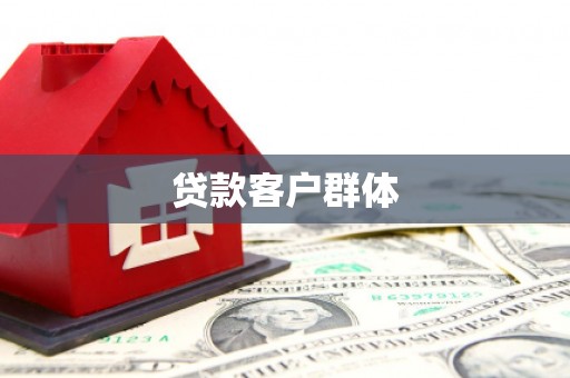 盐津贷款客户群体