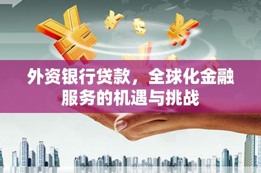靖州外资银行贷款，全球化金融服务的机遇与挑战