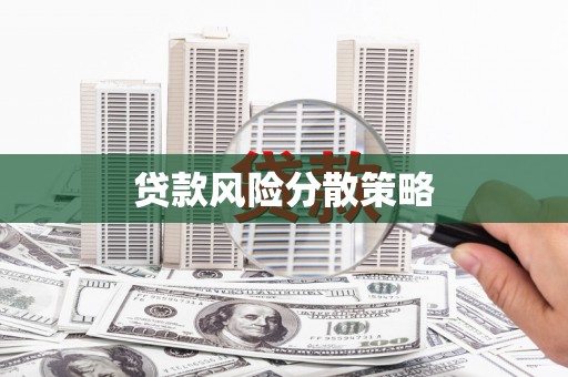 安康贷款风险分散策略