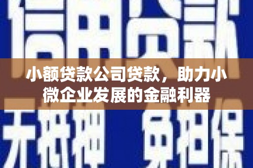 漳州小额贷款公司贷款，助力小微企业发展的金融利器