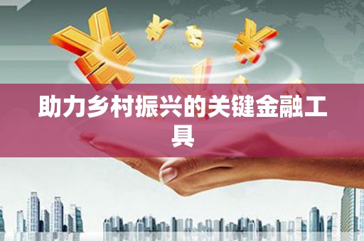麻豆助力乡村振兴的关键金融工具