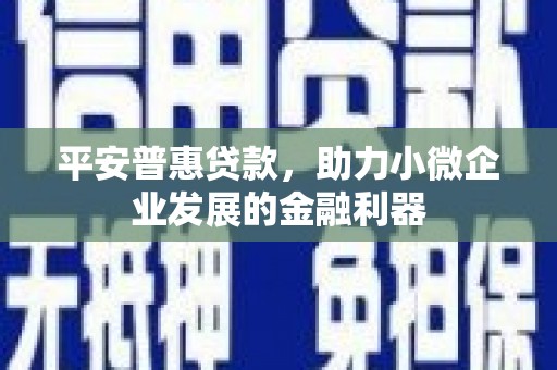 额济纳旗平安普惠贷款，助力小微企业发展的金融利器