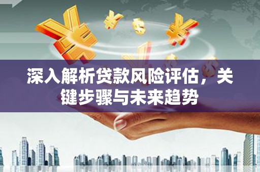河南深入解析贷款风险评估，关键步骤与未来趋势