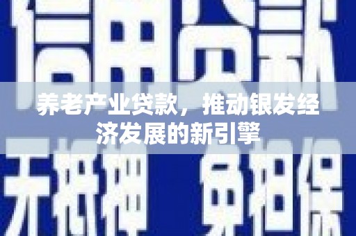 宝坻养老产业贷款，推动银发经济发展的新引擎