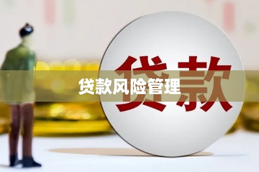 丰满贷款风险管理