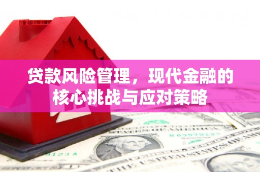 岳麓贷款风险管理，现代金融的核心挑战与应对策略