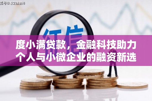 芦淞度小满贷款，金融科技助力个人与小微企业的融资新选择