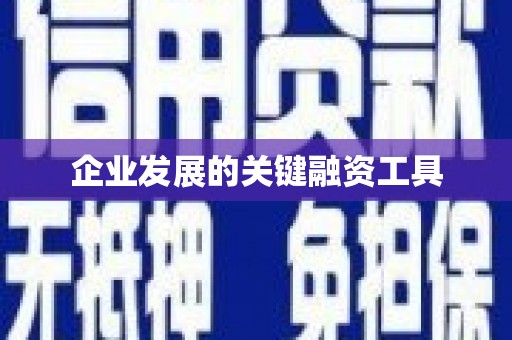 美浓企业发展的关键融资工具
