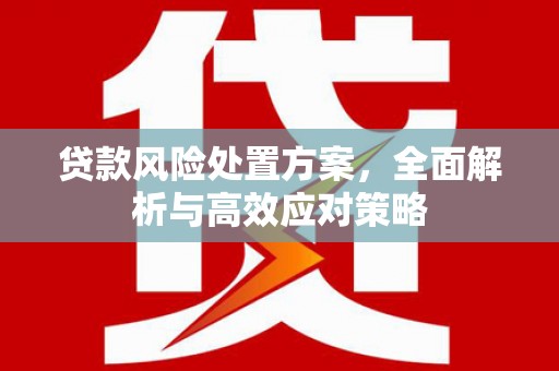 宝塔贷款风险处置方案，全面解析与高效应对策略