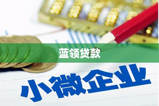魏县蓝领贷款