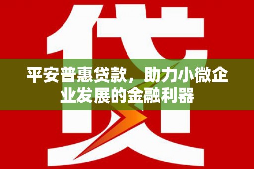 河池平安普惠贷款，助力小微企业发展的金融利器