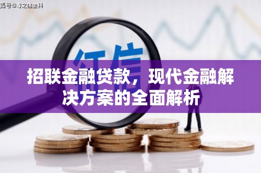 汶川招联金融贷款，现代金融解决方案的全面解析