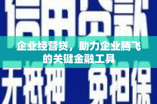 望奎企业经营贷，助力企业腾飞的关键金融工具