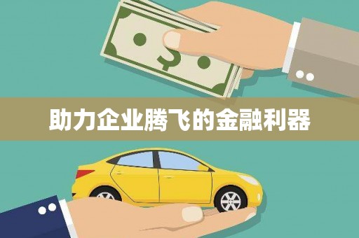 龙湾助力企业腾飞的金融利器