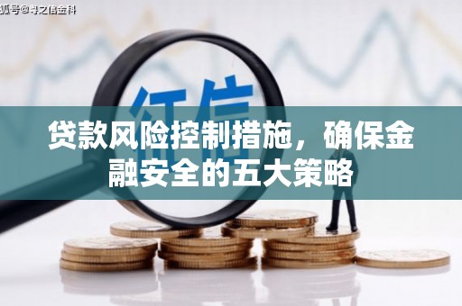 青阳贷款风险控制措施，确保金融安全的五大策略
