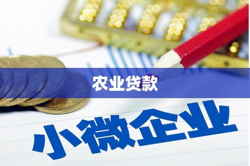 永胜农业贷款