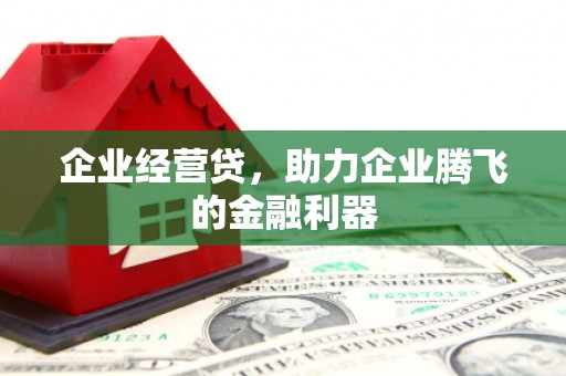 三都企业经营贷，助力企业腾飞的金融利器